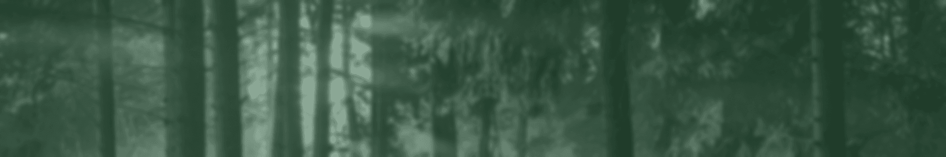 Hero background