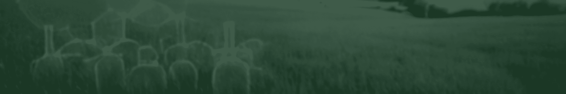 Hero background